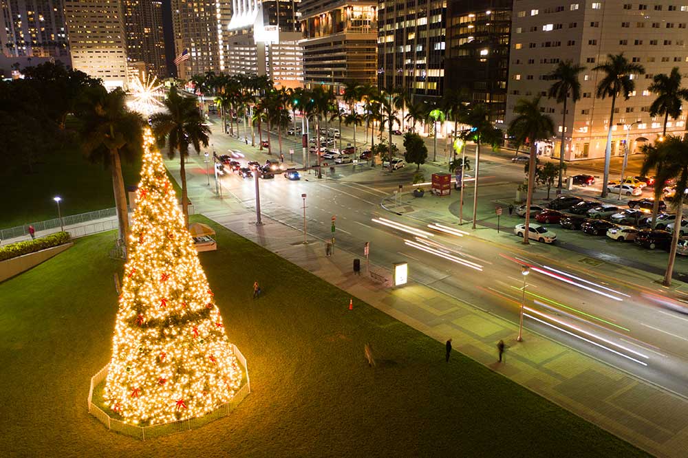 Fun Things To Do in Miami During Christmas