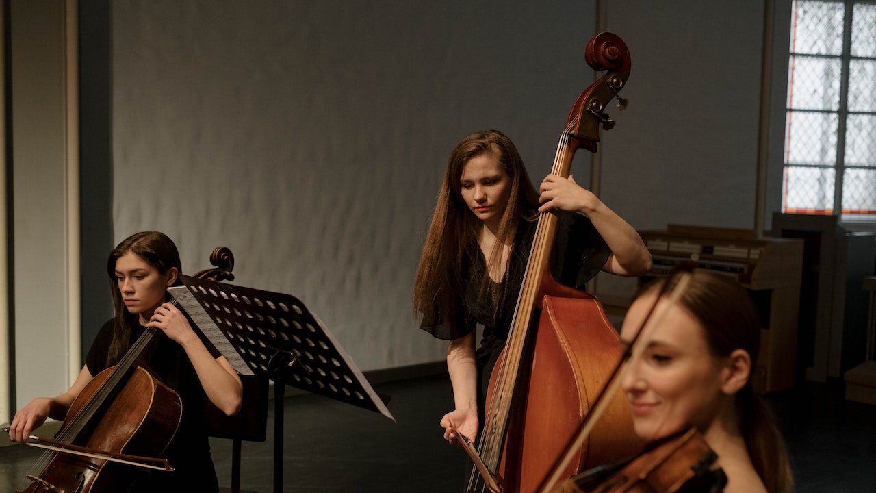 Candlelight Open Air at Jungle Island Music, Nature, and Magic in